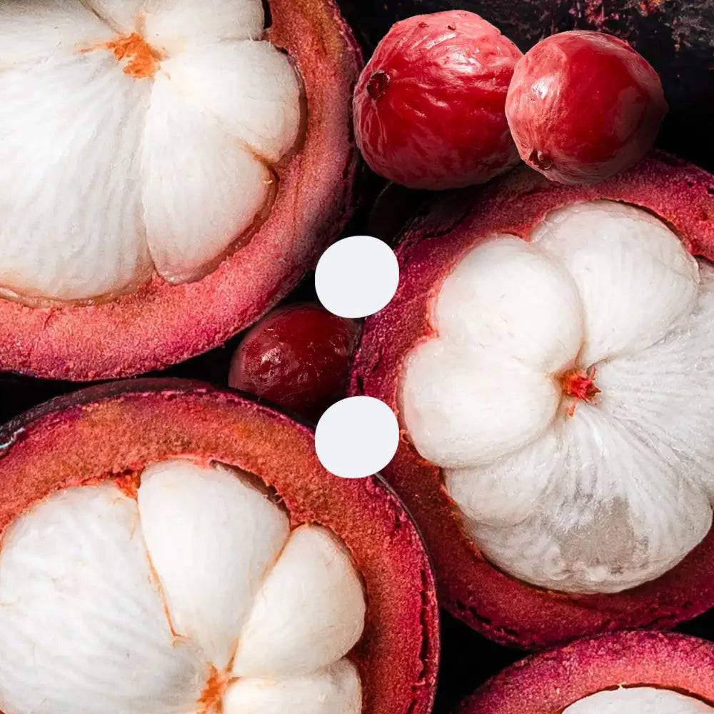 Antioxidant Serum, Mangosteen & Quandong | 30ml - Earth:en